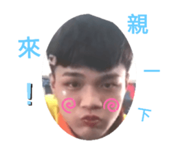 306297750