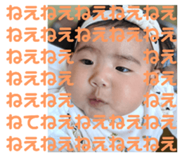 306308446