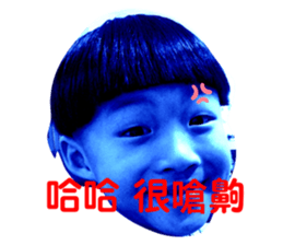 306336678