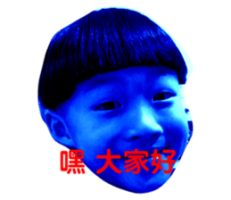 306336679