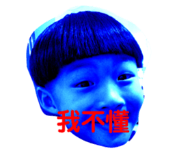 306336680