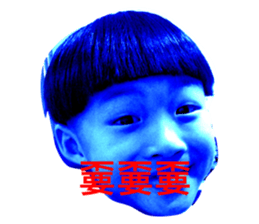 306336681