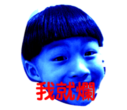 306336685