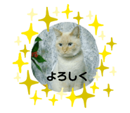 306376769