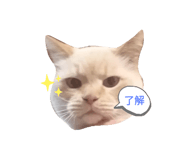 306376770