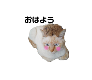 306376773