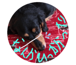 306378411