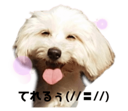 306383488