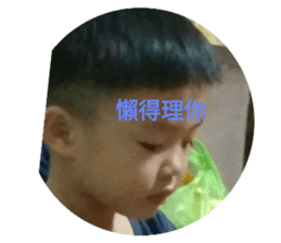 306451425