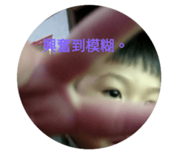 306451427