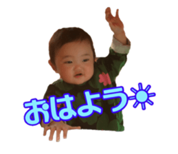 30647536