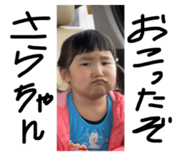 306509951
