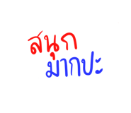 306525584