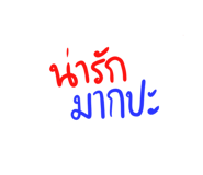 306525586