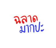 306525588
