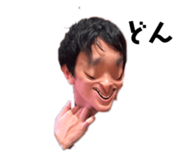 306531630