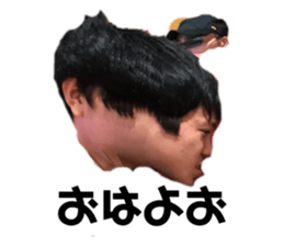 306531633
