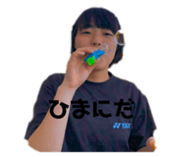 306531636