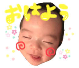 306538673