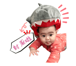 306539864