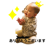 306541080
