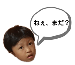 306545039