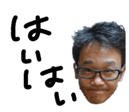 306545040