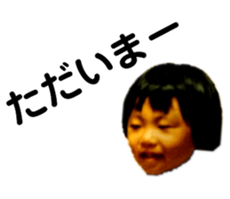 306545050