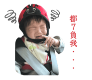 306546225