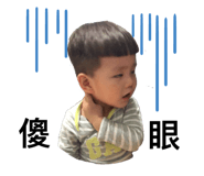 306546228