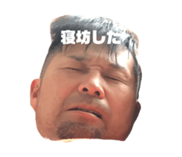 306548293