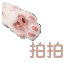 306623049