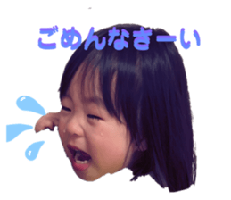 306656812