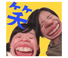306665566