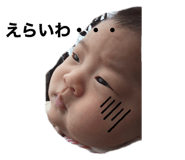 306666244