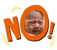 306666263