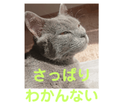 306666724