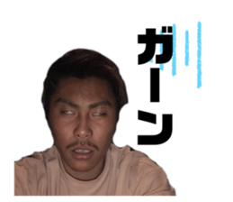306671736