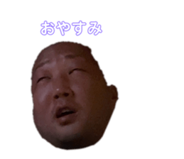 306680561