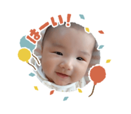 306686451