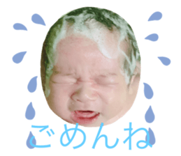306711958