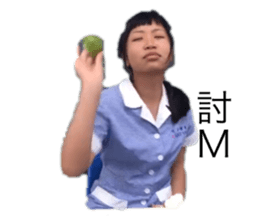 306767781