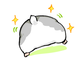 306789