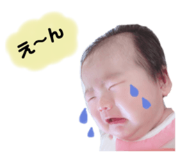 306794084