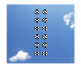 306800478