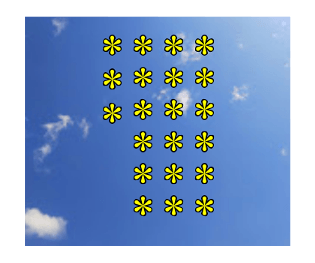 306800501