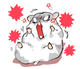 306807
