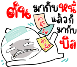 306815261