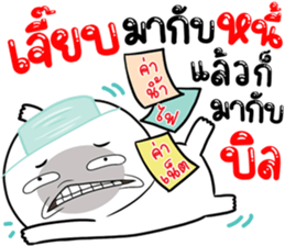 306815325