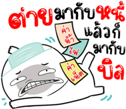 306815557